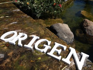 origen organic food